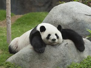 entryimages_middle_06