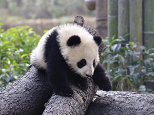 entryimages_middle03_12