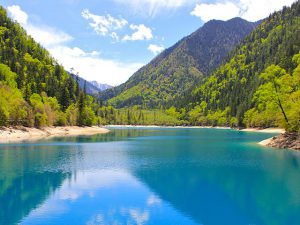 entryimages_middle03_13