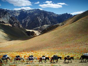 entryimages_middle03_18